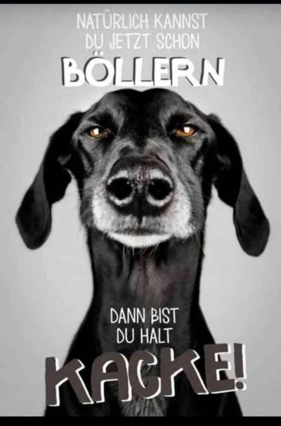 Was hat euch heute genervt?-Beitrag-Bild