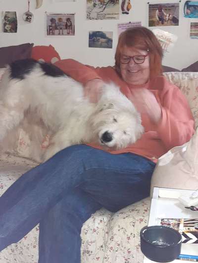 TierschutzhundeStammtisch🐕-Beitrag-Bild