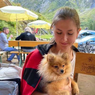 Hundetreffen-Gassirunde im neuen Garten-Profilbild