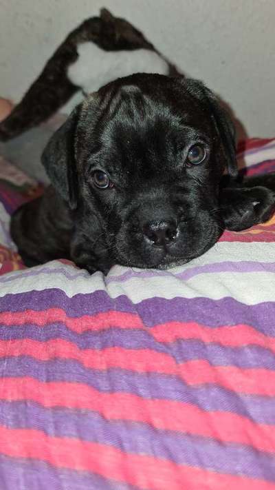 CHALLENGE Nr.17-Beitrag-Bild