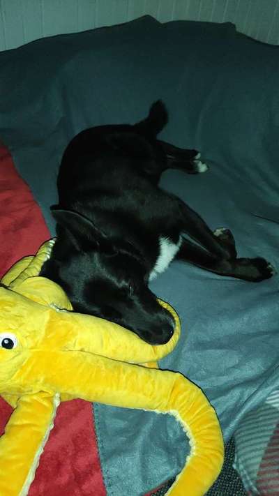 Foto Challenge Nr. 134-Beitrag-Bild