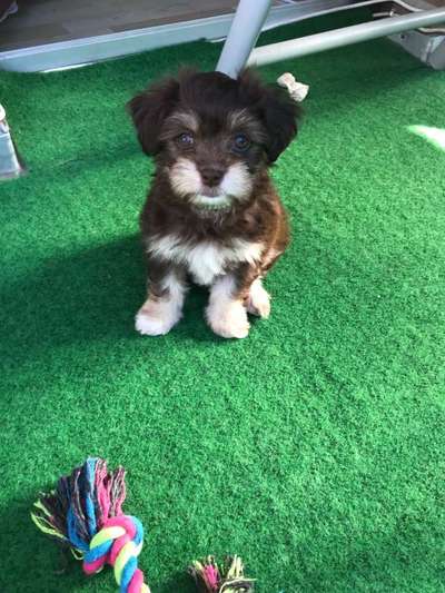 Vorher.... Nachher-Beitrag-Bild