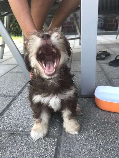 Lieblings Schnappschuss?-Beitrag-Bild