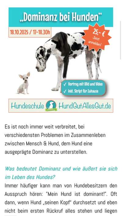 Giftköder-Vortrag: Dominanz bei Hunden-Bild