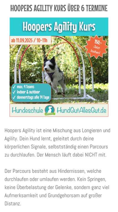 Giftköder-Kurs: Hoopers Agility für Einsteiger-Bild