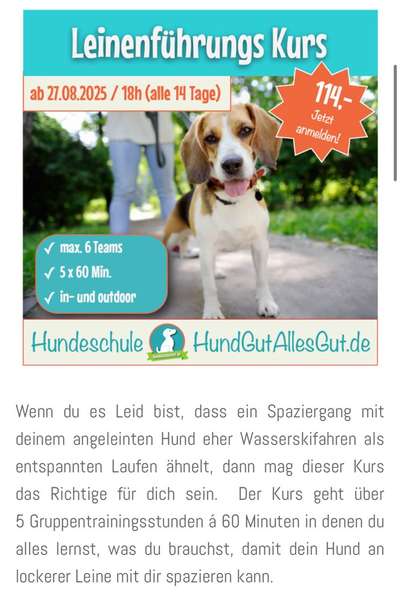 Giftköder-Kurs: Leinenführigkeitstraining-Bild