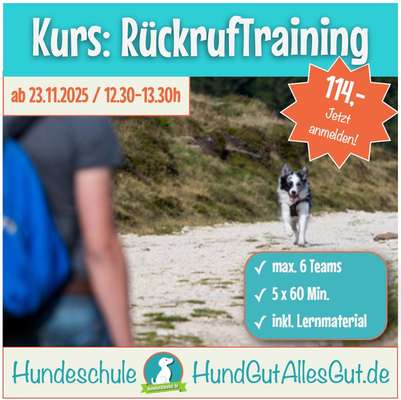 Giftköder-Kurs: RückrufTraining-Bild