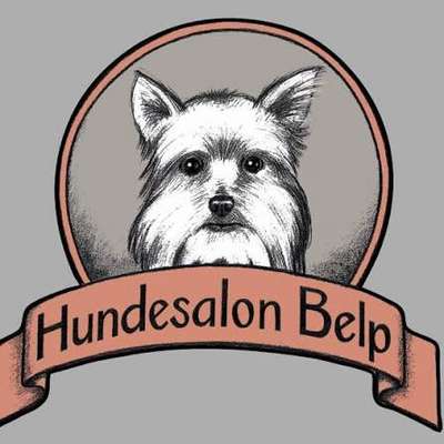 Hundefriseur Hundesalon Belp in Belp  – Dogorama