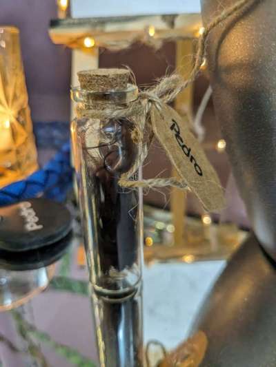 Unsere Fellnasen im Regenbogenland-Beitrag-Bild