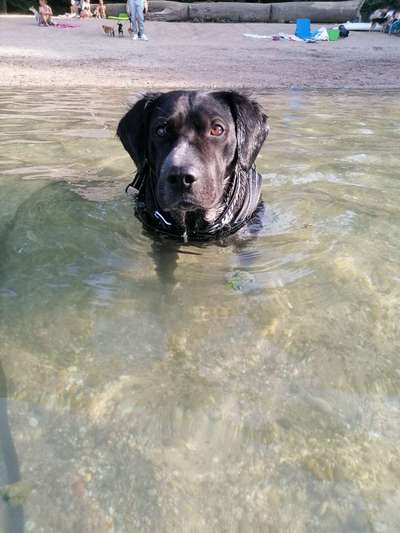 35. Handy Foto Challenge - Das nasse Element-Beitrag-Bild