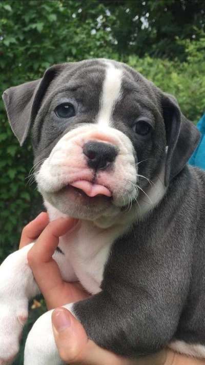 Lieblings Schnappschuss?-Beitrag-Bild