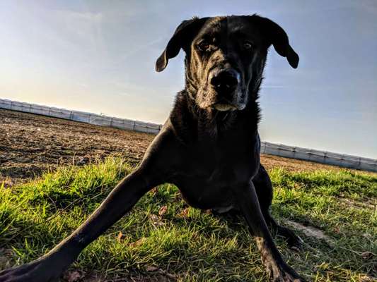 Lieblingsbild :D-Beitrag-Bild