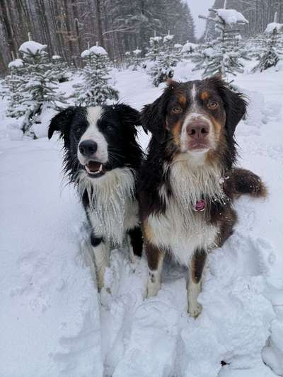 Zeigt eure Portraits-Beitrag-Bild