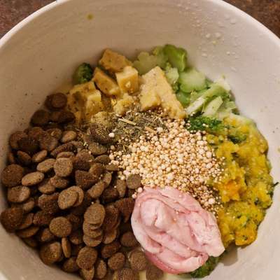 Zeigt her Eure Futternäpfe-Beitrag-Bild