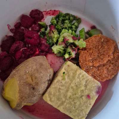 Zeigt her Eure Futternäpfe-Beitrag-Bild