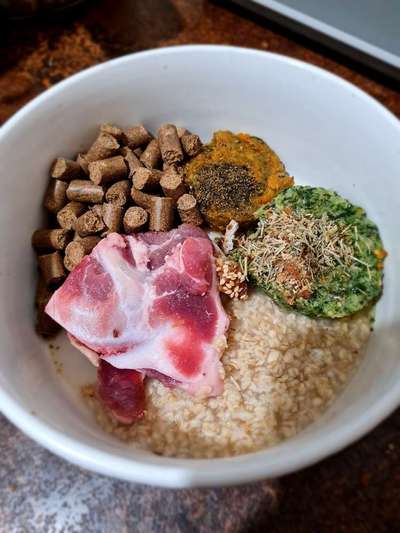 Zeigt her Eure Futternäpfe-Beitrag-Bild