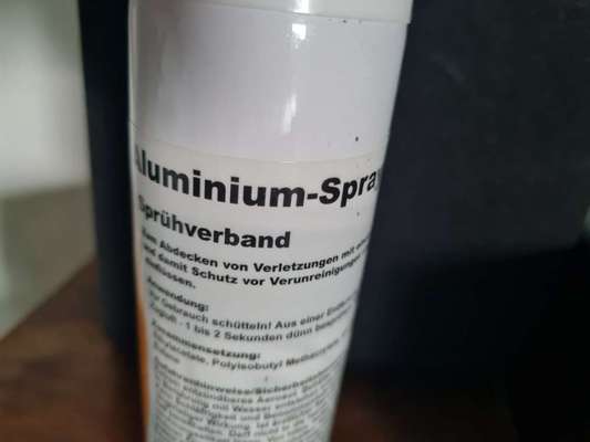 Was Hundehalter wissen und können sollten!-Beitrag-Bild