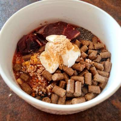 Zeigt her Eure Futternäpfe-Beitrag-Bild