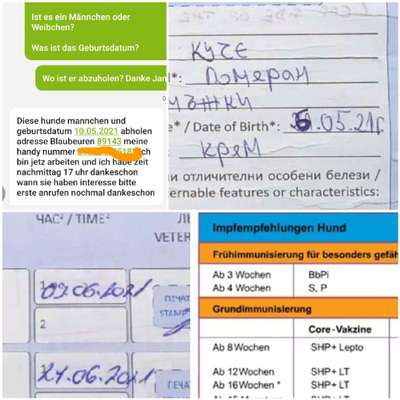 Wühltischwelpen-Beitrag-Bild