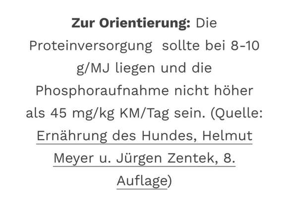 Vegane Ernährung bei Nierenerkrankung-Beitrag-Bild