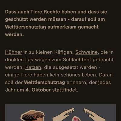 Qualzucht - Warum Aufklärung alleine nicht reicht-Beitrag-Bild