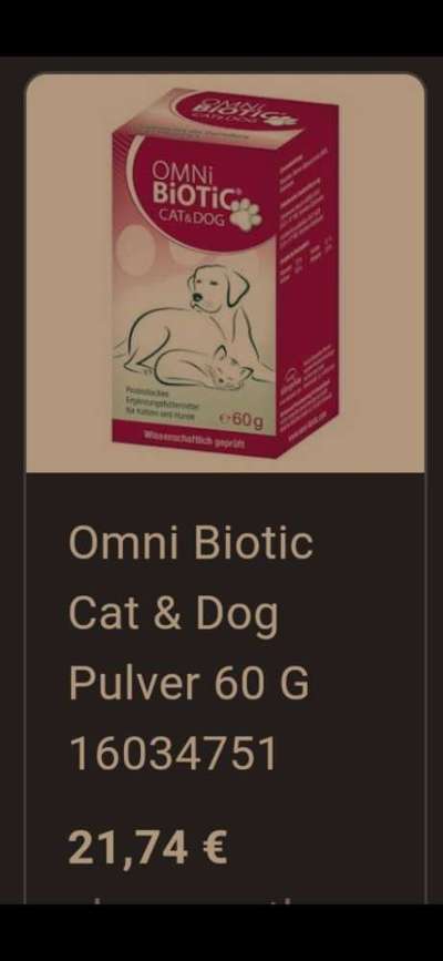 Neustart für den Darm-Beitrag-Bild