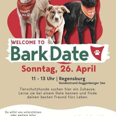 Hundetreffen-Bark Date-Bild