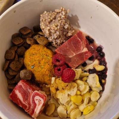 Zeigt her Eure Futternäpfe-Beitrag-Bild