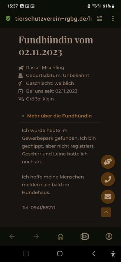 Entlaufene, Gefundene und Vermisste Hunde-Beitrag-Bild