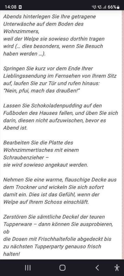 Tipps und Tricks für alle Erst-Welpenbesitzer-Beitrag-Bild