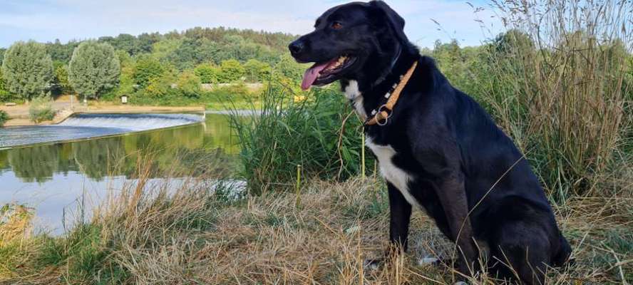 Doppelgänger gesucht !-Beitrag-Bild