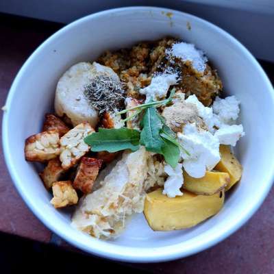 vegane Hundeernährung-Beitrag-Bild