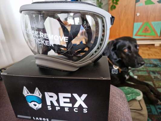 Was hat euch heute gefreut?-Beitrag-Bild