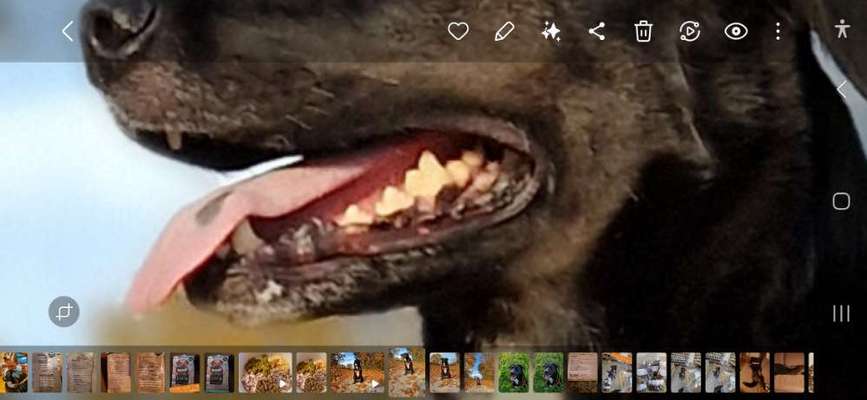 Graue Zahnverfärbung-Beitrag-Bild