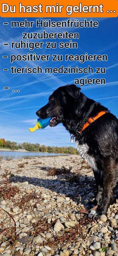 Danke ...-Beitrag-Bild