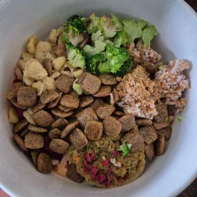 Zeigt her Eure Futternäpfe-Beitrag-Bild