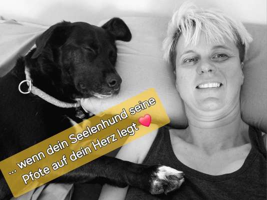 Was schätzt ihr an eurem Hund besonders?-Beitrag-Bild