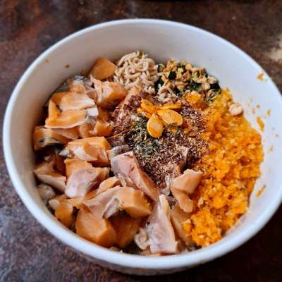 Zeigt her Eure Futternäpfe-Beitrag-Bild