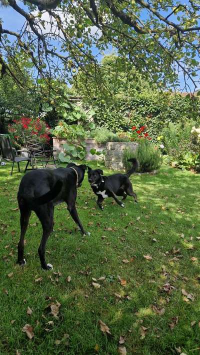 Danke ...-Beitrag-Bild