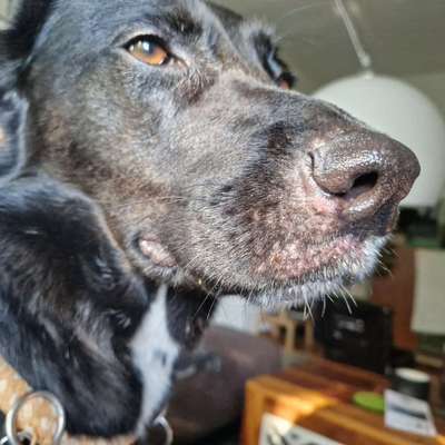 Abschürfung an der Nase?-Beitrag-Bild