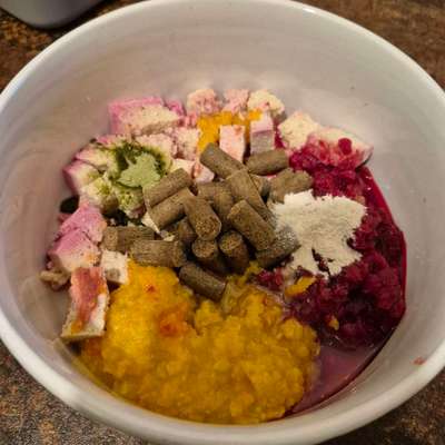 Zeigt her Eure Futternäpfe-Beitrag-Bild