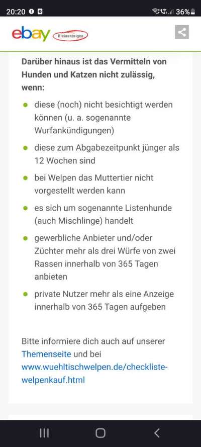 Verdacht auf illegalen Welpenhandel - wo melden?-Beitrag-Bild