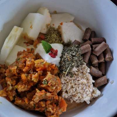 Zeigt her Eure Futternäpfe-Beitrag-Bild