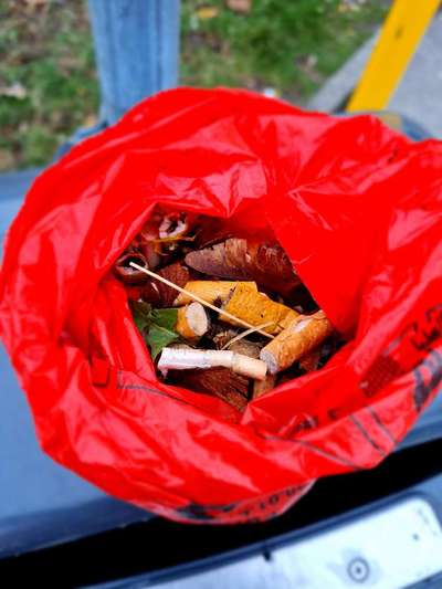 Challenge – Gassi & Clean-Beitrag-Bild