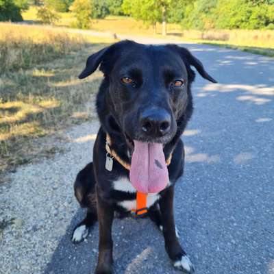 Außergewöhnliche Merkmale-Beitrag-Bild