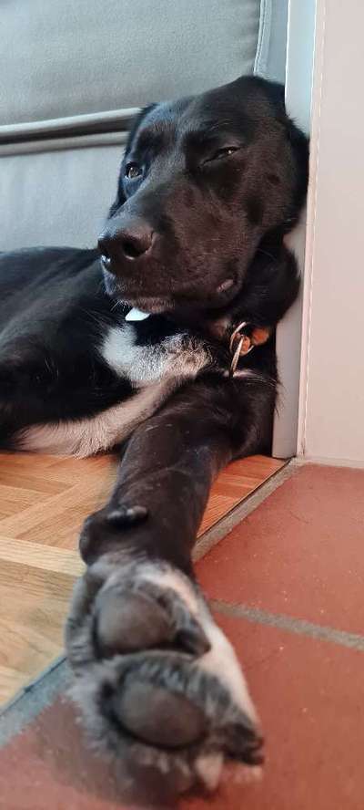 FOTO-Challenge  NR. 91: Die pure Entspannung-Beitrag-Bild