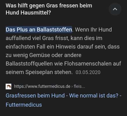 Gras fressen- bereits zweimal operiert-Beitrag-Bild