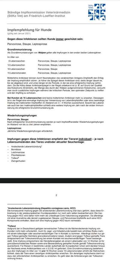 Wie steht ihr zur Empfehlung gegen Staupe zu impfen.-Beitrag-Bild