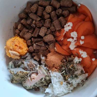 Zeigt her Eure Futternäpfe-Beitrag-Bild