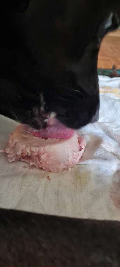 Zeigt her Eure Futternäpfe-Beitrag-Bild